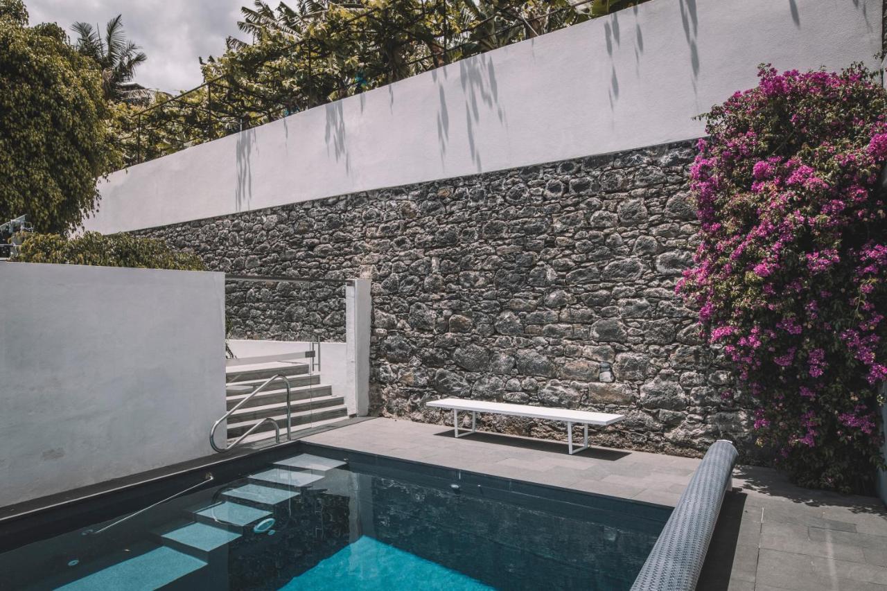 Torrinha Luxo Dream Wohnung Funchal  Zewnętrze zdjęcie