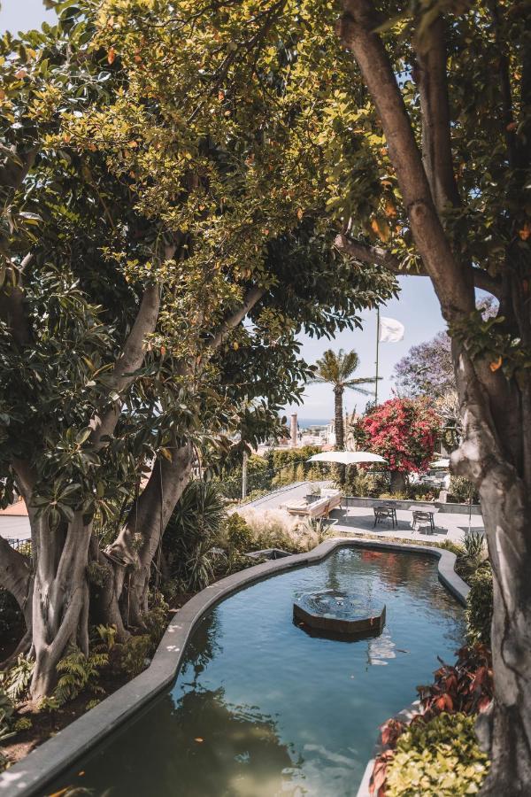 Torrinha Luxo Dream Wohnung Funchal  Zewnętrze zdjęcie